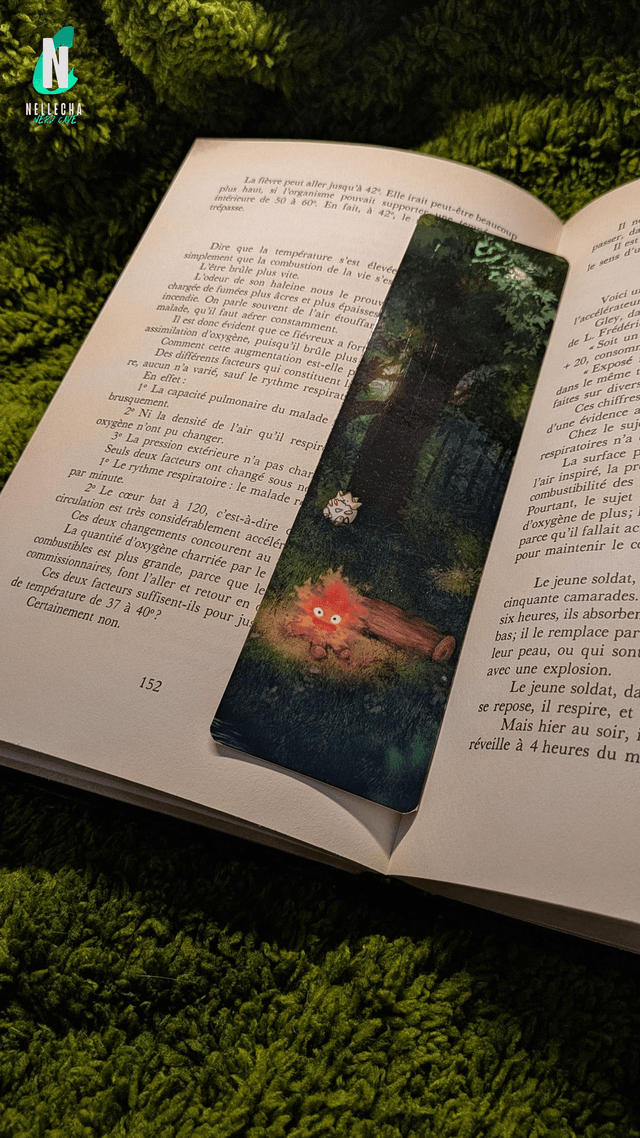 ​Calcifer et Togepi en forêt - Marque-page